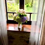 Stunning Restored Mill Boimouro * Piantes