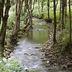 Stunning Restored Mill Boimouro *