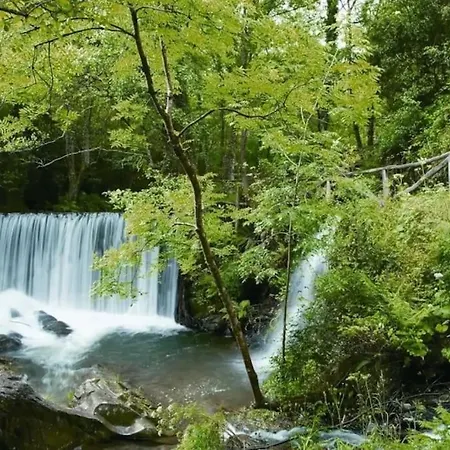 Дом отдыха Stunning Restored Mill Boimouro Piantes