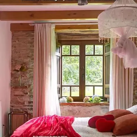 Stunning Restored Mill Boimouro Holiday home Piantes