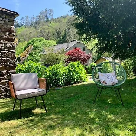 Stunning Restored Mill Boimouro Holiday home Piantes