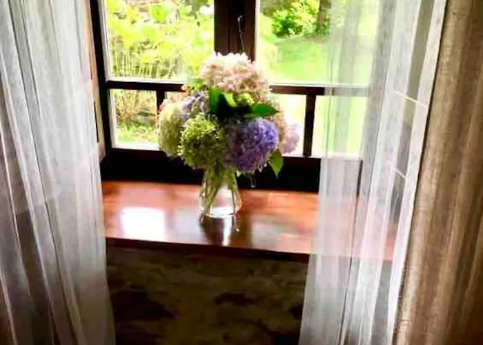 Stunning Restored Mill Boimouro * Piantes