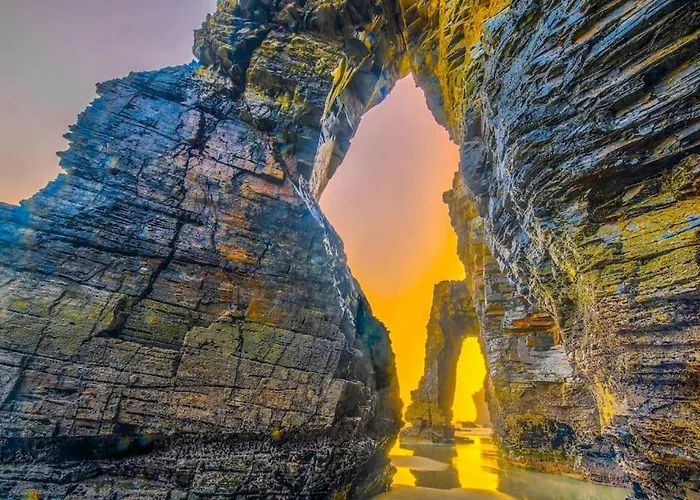 Stunning Restored Mill Boimouro Holiday home Piantes