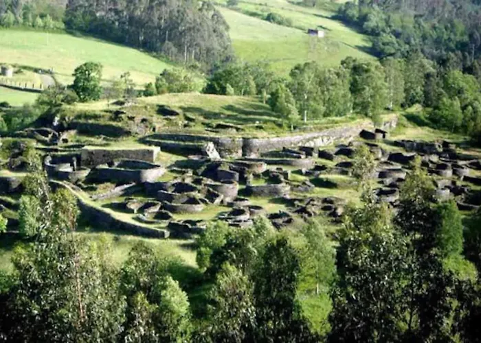 Stunning Restored Mill Boimouro Holiday home Piantes