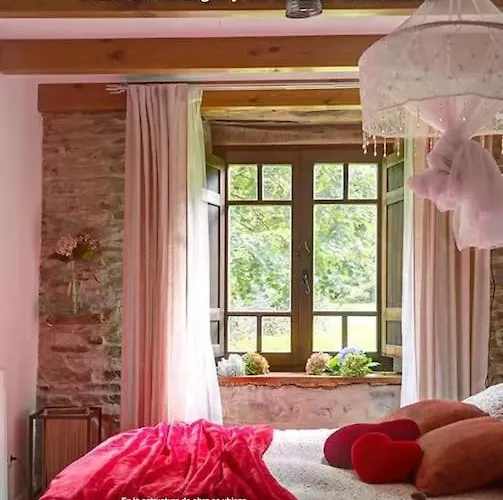 Stunning Restored Mill Boimouro Holiday home Piantes