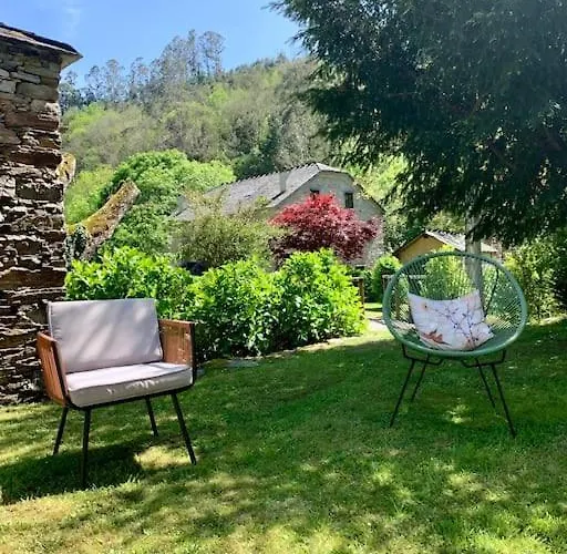 Stunning Restored Mill Boimouro Holiday home Piantes