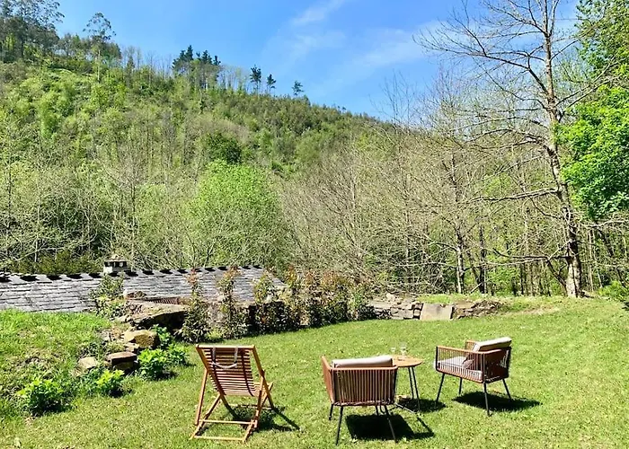 Stunning Restored Mill Boimouro Piantes